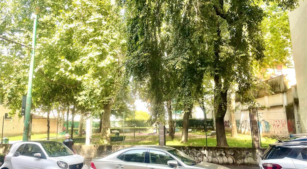 Giardino